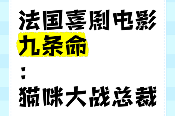 揭秘猫咪的九条命：神秘与灵性的结合