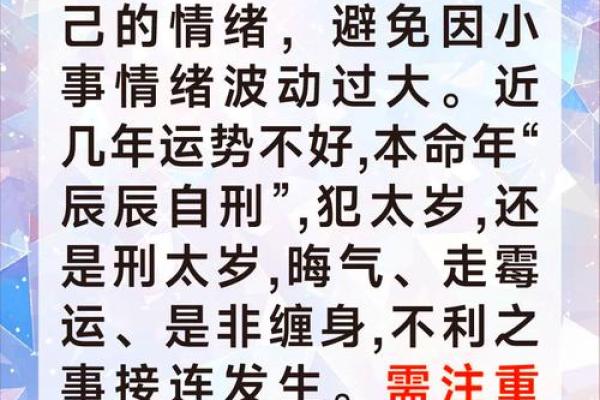 204年的龙命与人生机遇：解读龙的象征与幸运特质
