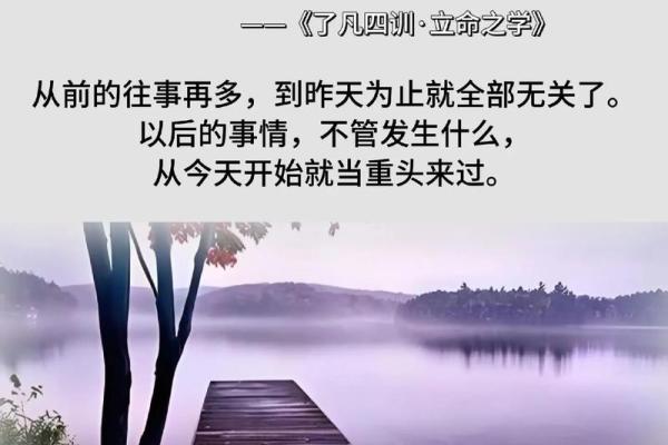 立业之命：揭示人生成功的奥秘与启示