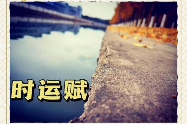 1982年出生的人生轨迹：36岁命运与机遇的交织