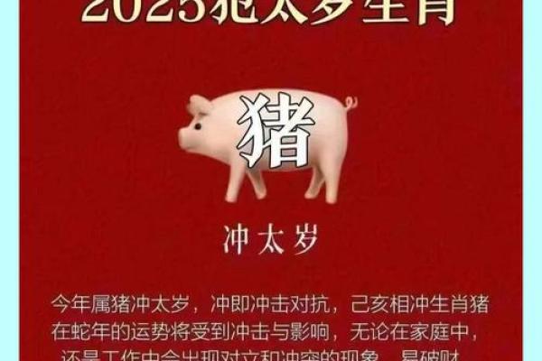 1971年生肖属猪：探索金命人的独特命运与生活哲学