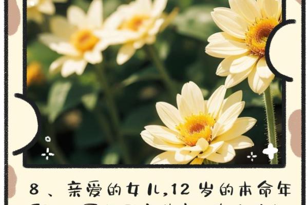 12月出生的宝贝：命运与特质揭秘，为你描绘未来的蓝图！