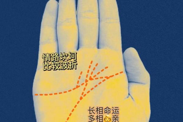 手掌面相：揭示女命的命运密码与生活智慧