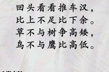 68年命的奇妙属性与人生启示
