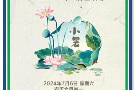 夏季生存法则：抗击酷暑的最佳方法与食物推荐