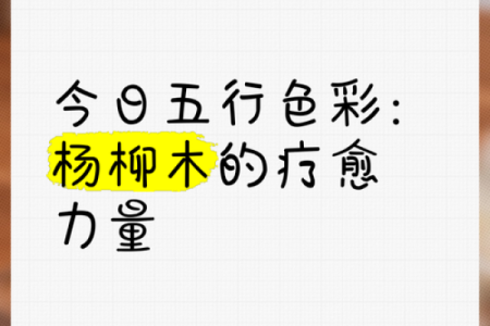 杨柳木命者的招财秘诀：灵动之木带来财富运势