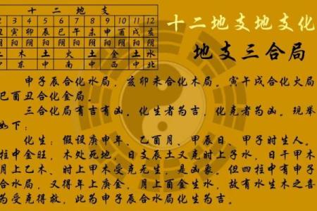 探索命理的奥秘：了解十二地支与我们的生活关联