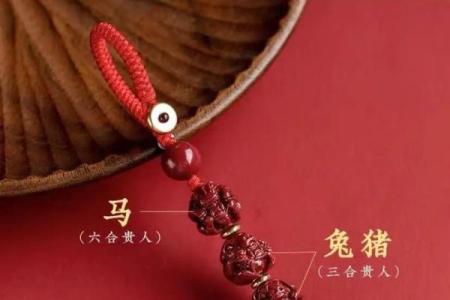 正月二六出生的属马人命运解析，揭示人生的精彩与挑战