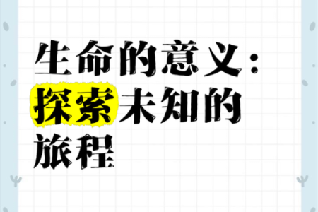 探索“把命消”的意义：生命哲学的深刻探讨