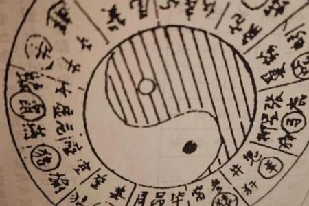 杨柳木命人与五行相合的奇妙之旅
