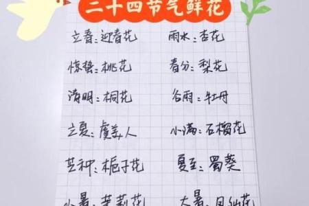 探秘命反桃花：缘分背后的深意与启示