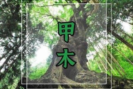命理属木的人适合什么颜色？细说木元素的色彩魅力与影响！