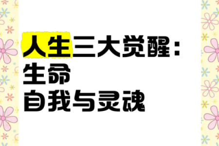 命、缘、运——人生的三重奏与心灵的舞动