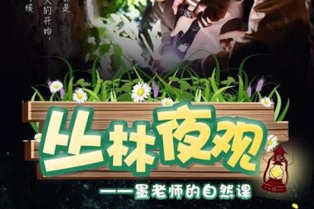 探秘夜深11点：这一刻的命理与我们生活的连接