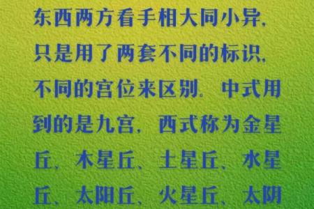 揭开手纹的秘密：你手中的命运之法则！