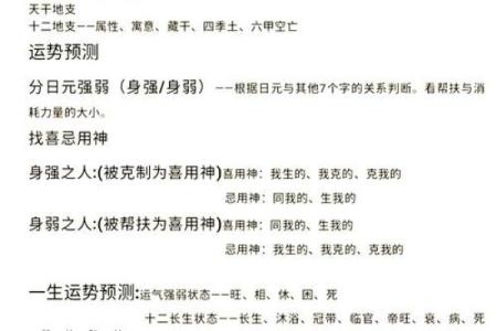 壬申戊申癸未己未命，探索五行八字的深邃奥秘与人生智慧