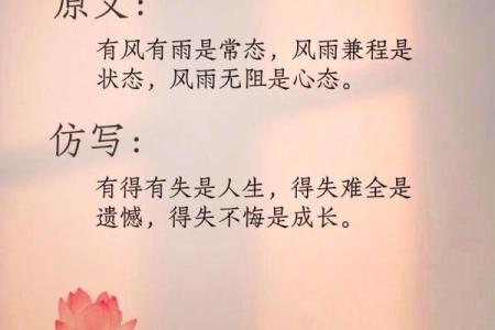 在风雨中绽放的生命力量：坚韧不拔的故事