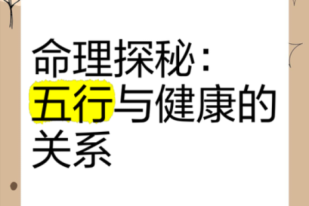 2000年出生命理分析：五行之道与人生启示
