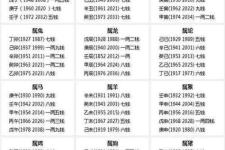 探秘农历2016年出生宝宝的命理特征与性格分析