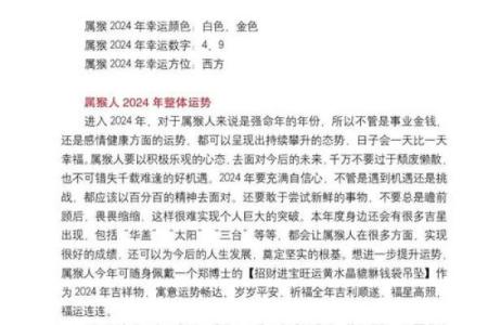 探索一九八0年出生者的命运与人生：了解属猴人的特质与智慧