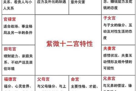 紫微命盘中的煞气解析：探寻命理中的阴影与应对之道