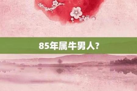 85年牛：勇敢与坚韧的命运解读