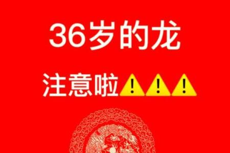 204年的龙命与人生机遇：解读龙的象征与幸运特质