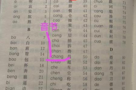 命的音序与音节解析，让我们走进汉字的世界！