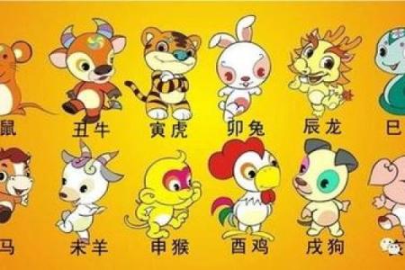 命到尽头，生肖的终极启示与生命的智慧