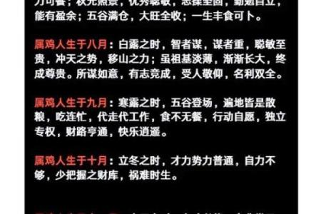 62岁属鸡人的命理解析与生涯指南