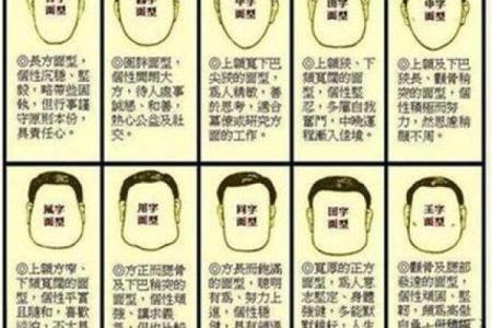 揭秘额头不高的命运：从面相分析到人生发展