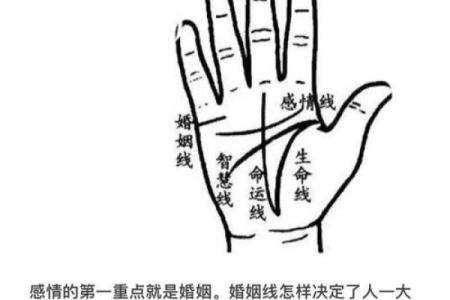 手掌面相：揭示女命的命运密码与生活智慧