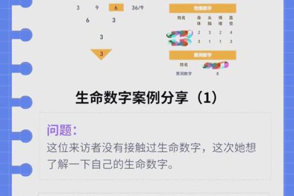 水命者适合的数字与生活智慧探秘