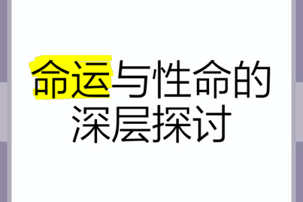 命运的高贵：探讨人生的意义与价值