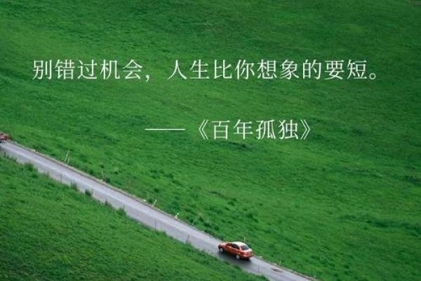 命运的高贵：探讨人生的意义与价值