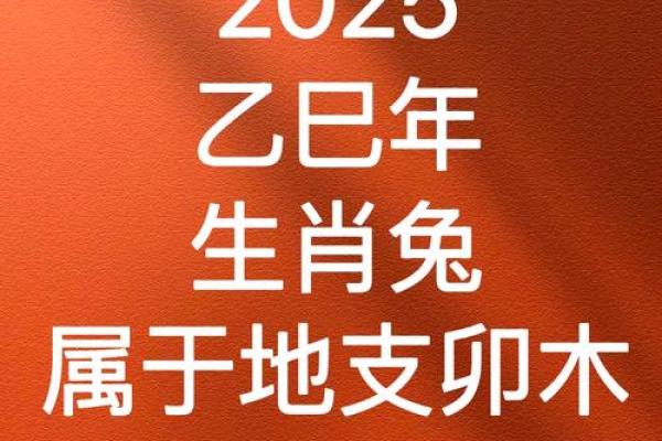 2025属兔人的命运解析：如何把握机遇与挑战？