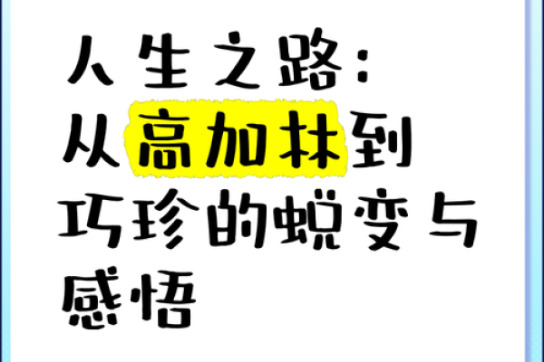 命格的奥秘：探寻那些能遇上奇事的人生之路