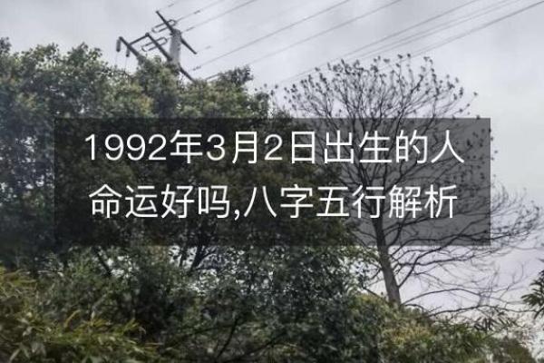 揭开壬寅年死亡之命的神秘面纱，探寻命理与人生的深刻联系
