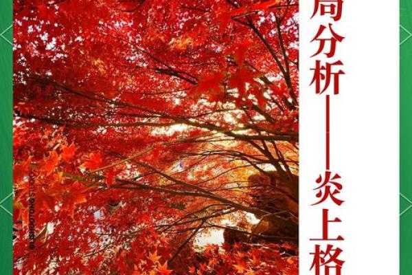 揭开红色命格的神秘面纱，探索命理与人生的深刻联系