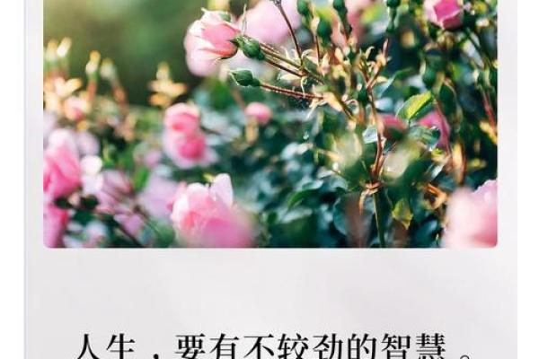 55岁的人是什么命：探索人生转折与未来的智慧之路
