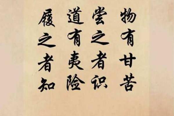 探秘乾命：长生的真谛与实现之道