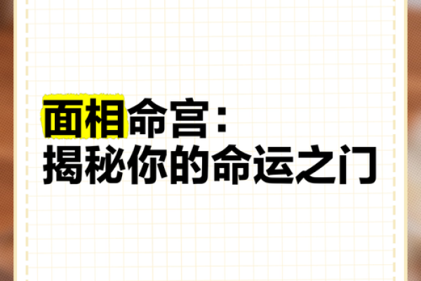 探秘2004年出生者的五行命理，解读命运之钥