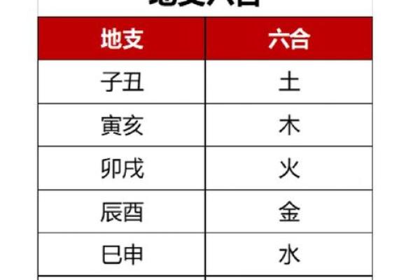 四十而不惑：揭秘40岁属什么生肖与命理的奥秘