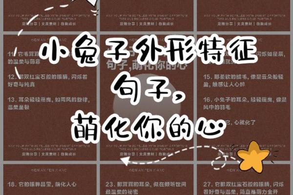 兔年命理与生肖解析，让你全面了解兔子的秘密！