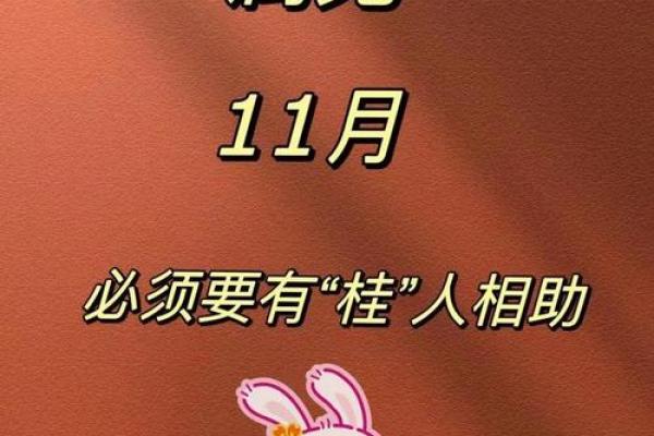 探秘1999年出生的申兔命：命理与生活的完美结合