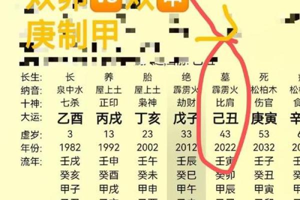 1990年农历九十一命运解析：生活中的不同选择与命运的交织