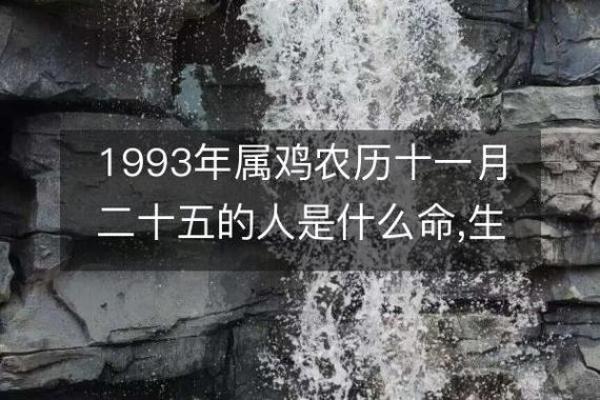 1990年农历九十一命运解析：生活中的不同选择与命运的交织