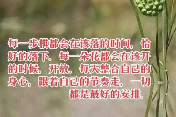 探寻命与运：人生中的缘分与选择之道