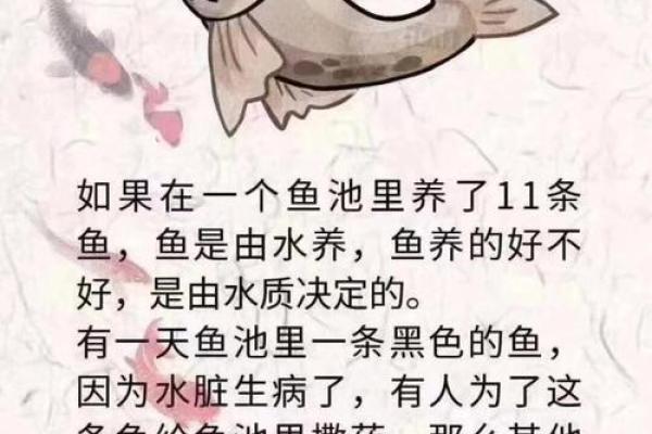 根据什么命的人不宜养鱼？探寻生肖与养鱼的奥秘