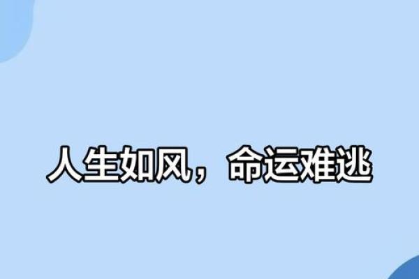 39年命解析：命运的独特属性与人生启示